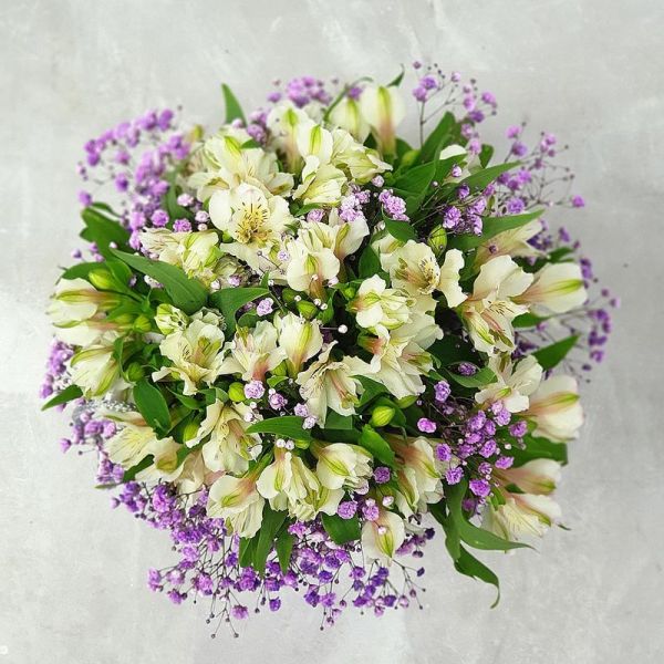 35 Малиновых Альстромерий в стильной коробке